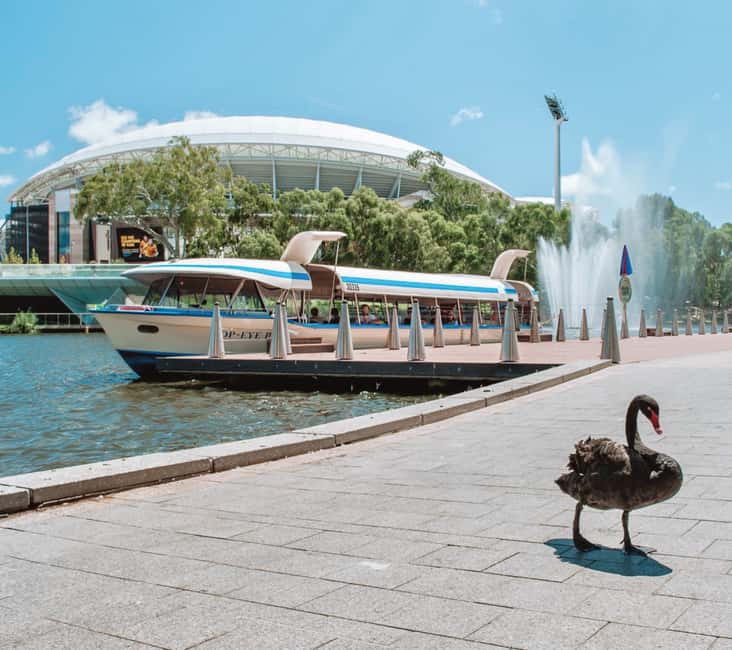 image n.7 of Adelaide: River Torrens Popeye Devonshire Tea Cruise activity in Adelaide, uploaded by supplier