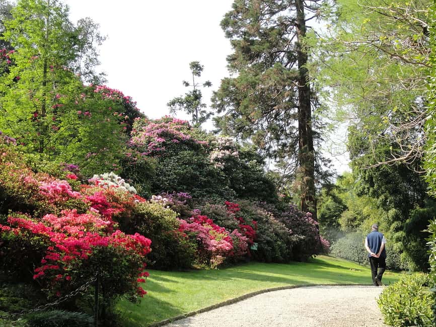 billede nr.5 af aktiviteten Stresa: Bådtur til de 3 borromæiske øer i Stresa, uploadet af udbyder