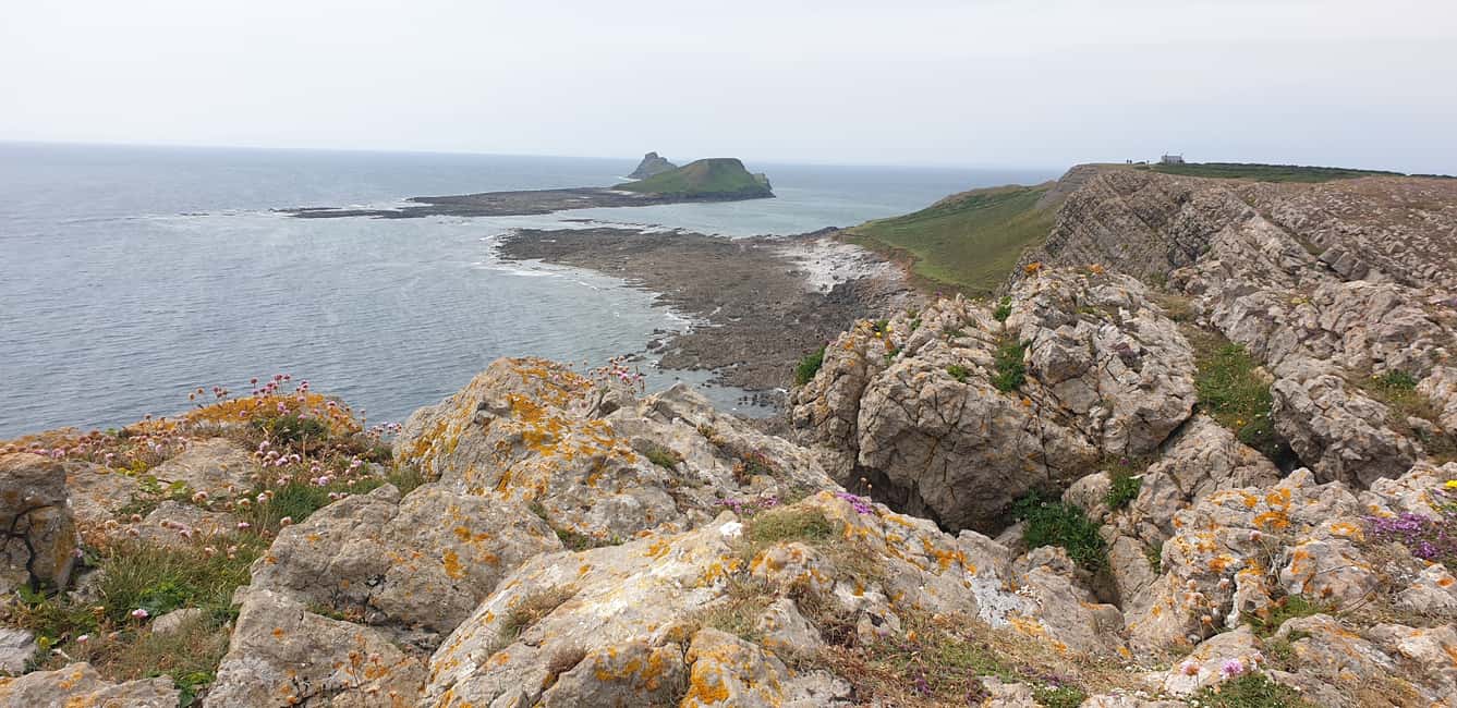 image n.1 of From Cardiff: Mumbles and Gower Peninsular Tour activity in Rhondda Cynon Taff, uploaded by supplier