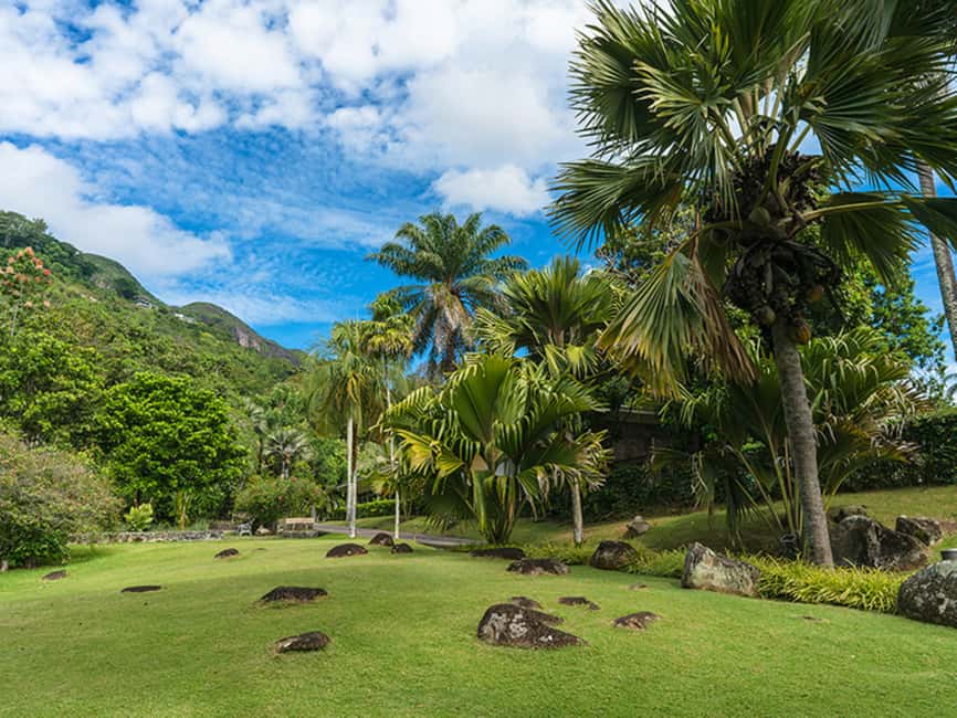 image n.3 of Mahé Island: Island Highlights Guided Day Trip with Lunch activity in Mahé, uploaded by supplier