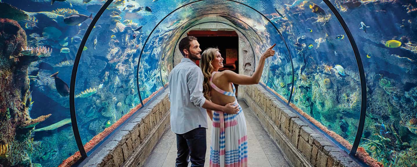 image n.1 of Las Vegas: Shark Reef Aquarium & VR Experience Entry Ticket activity in Las Vegas, uploaded by supplier