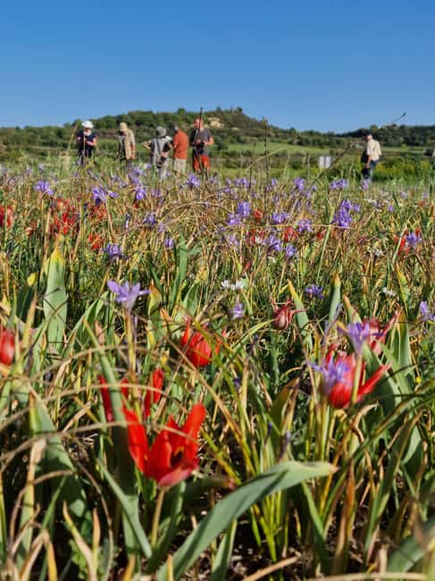 image n.2 of Unforgettable day on safari from Paphos to the Troodos mountains activity in Limassol District, uploaded by supplier