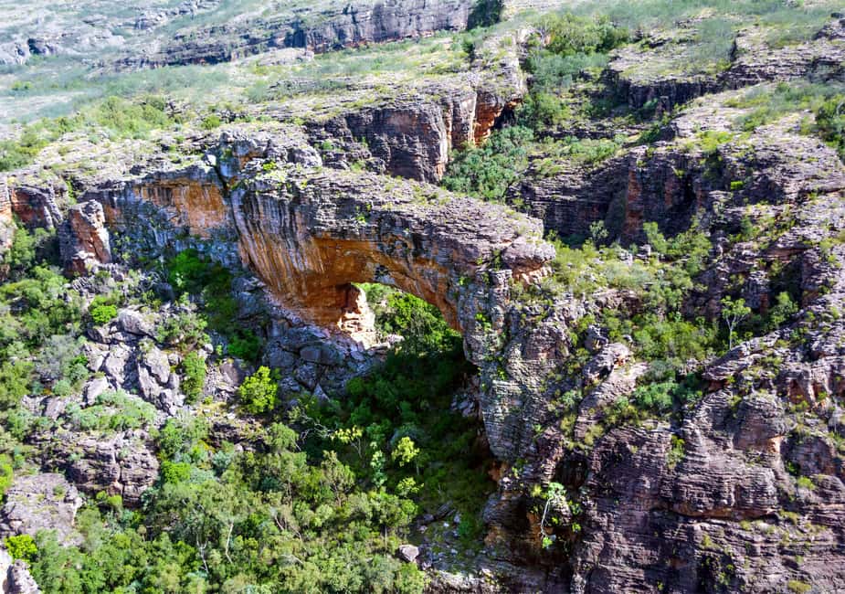 image n.7 of Darwin: Kakadu National Park Day Trip activity in Northern Territory, uploaded by supplier