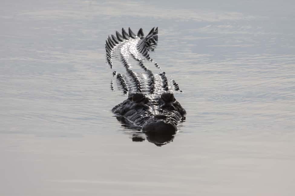 image n.10 of Darwin: Kakadu National Park Day Trip activity in Northern Territory, uploaded by supplier