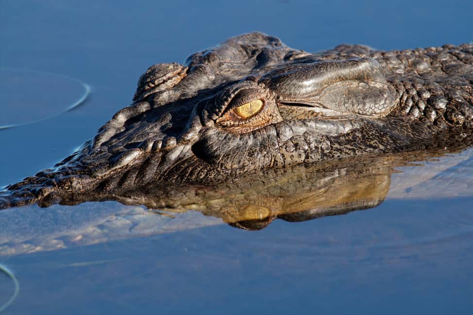 image n.4 of Darwin: Kakadu National Park Day Trip activity in Northern Territory, uploaded by supplier