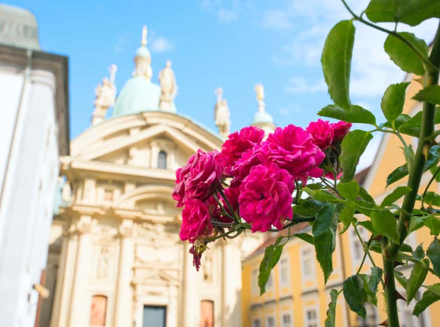 image n.6 of Graz: Top Churches Private Walking Tour with Guide activity in Graz, uploaded by supplier