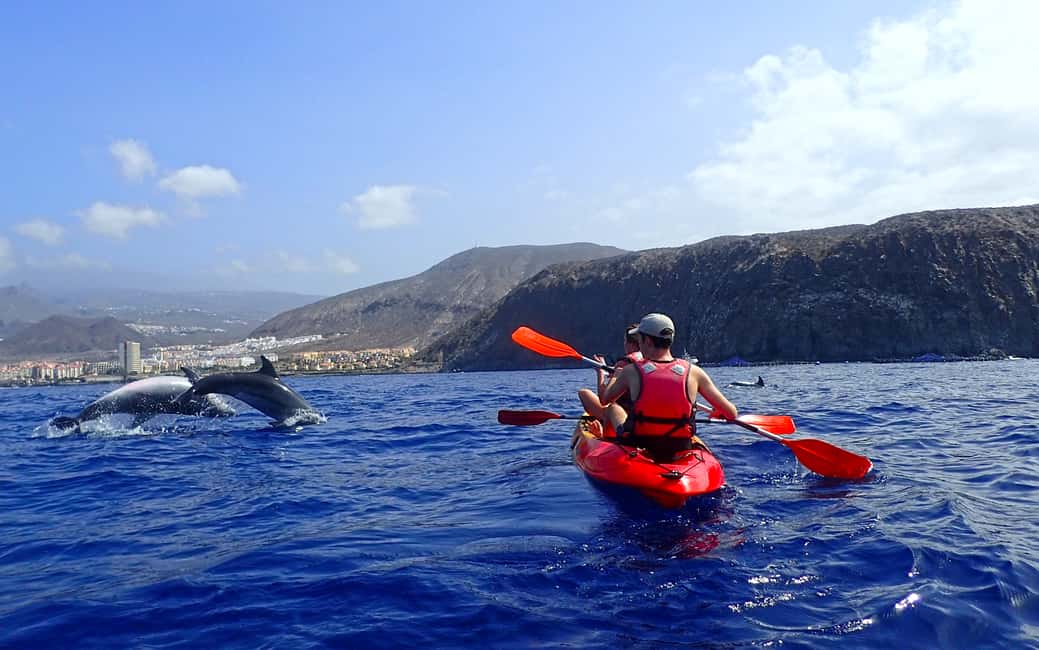 image n.3 of Tenerife: Kayak and Snorkel with Turtles with Free Videos activity in Los Cristianos, uploaded by supplier