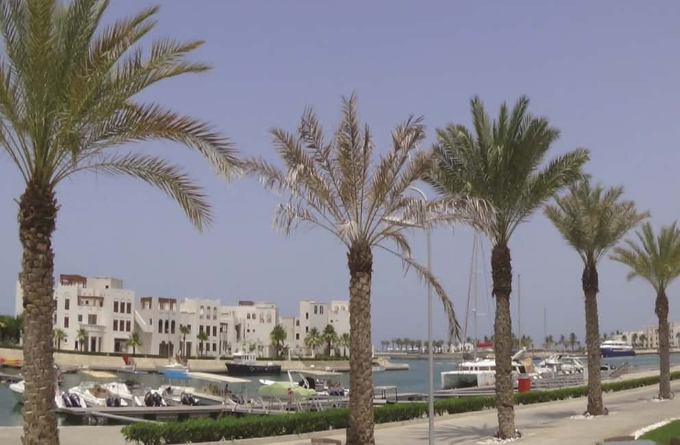 immagine n.7 di Muscat: Tour del Wadi Shab e del pozzo di Bimah con audioguida attività in Regione al-Sharqiyya, caricata dal fornitore