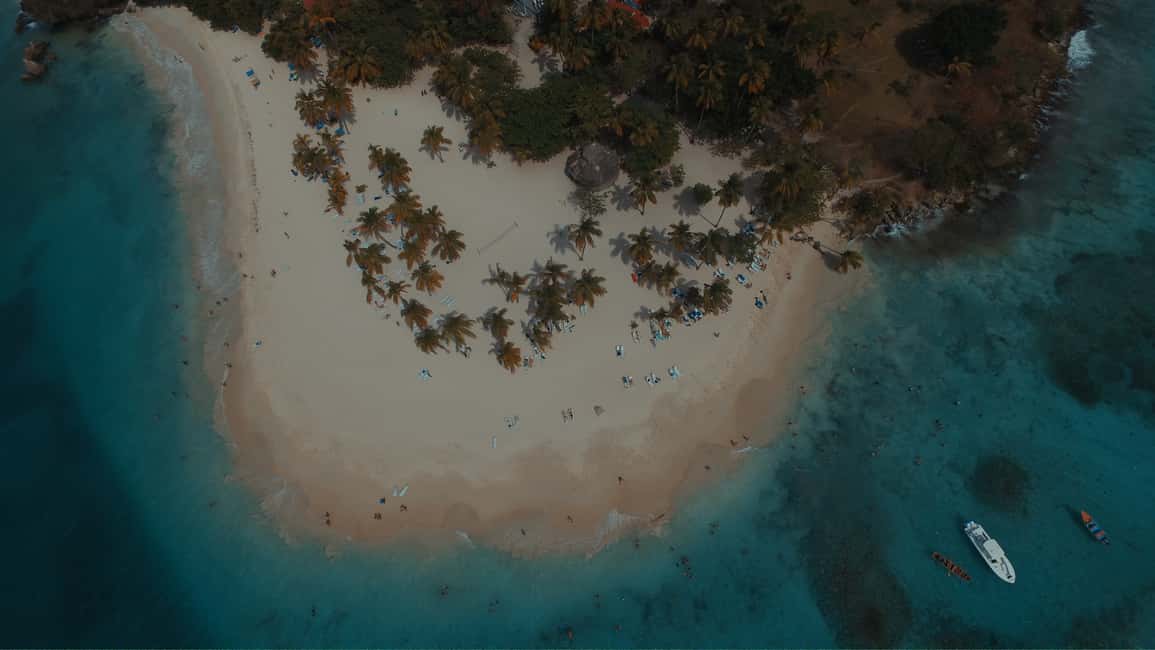 image n.7 of Punta Cana: Samana Bay Full-Day Experience activity in Samaná Province, uploaded by supplier