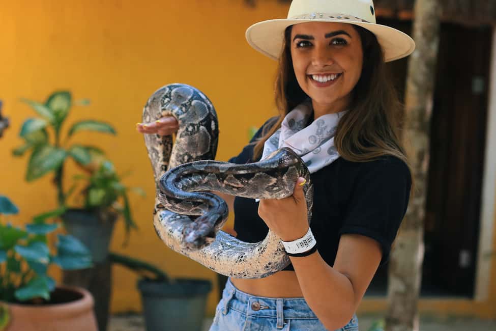 image n.10 of Akumal: Akumal Monkey Sanctuary Tour activity in Akumal, uploaded by supplier