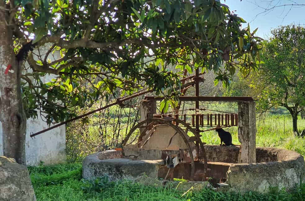 image n.29 of Albufeira: Safari Excursion in the Algarve Mountains activity in Alte, uploaded by supplier