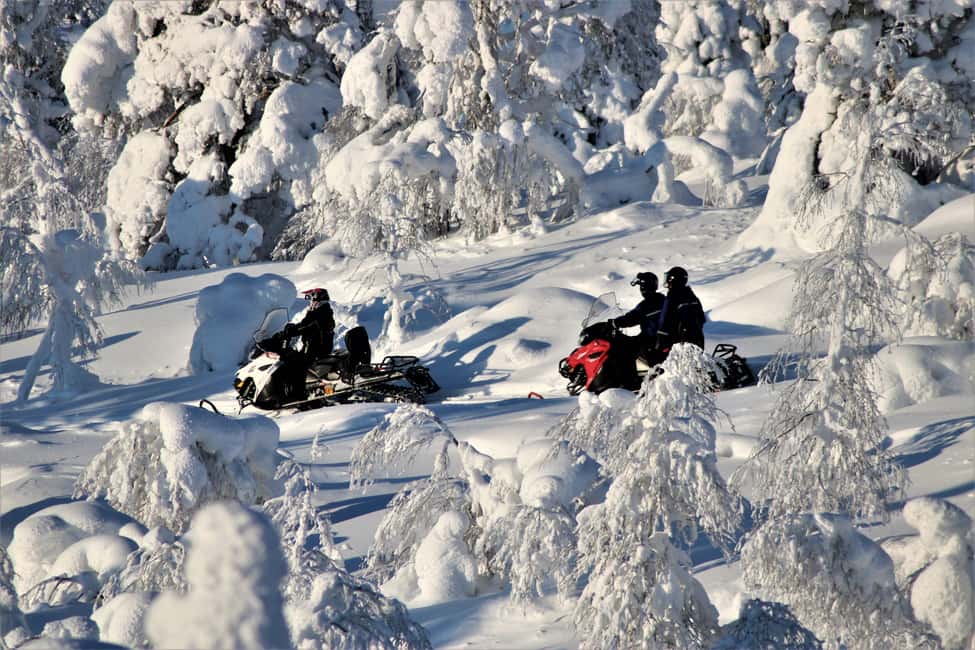 billede nr.3 af aktiviteten Levi: Safari med snescooter i skoven i Sirkka, uploadet af udbyder