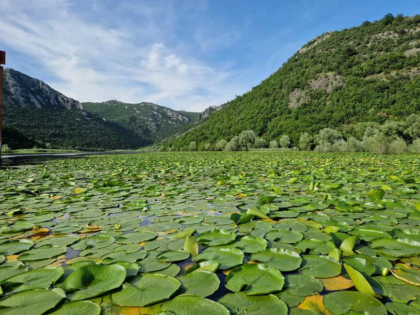 image n.7 of Skadar Lake: Explore the nature and national cuisine activity in Podgorica Municipality, uploaded by supplier