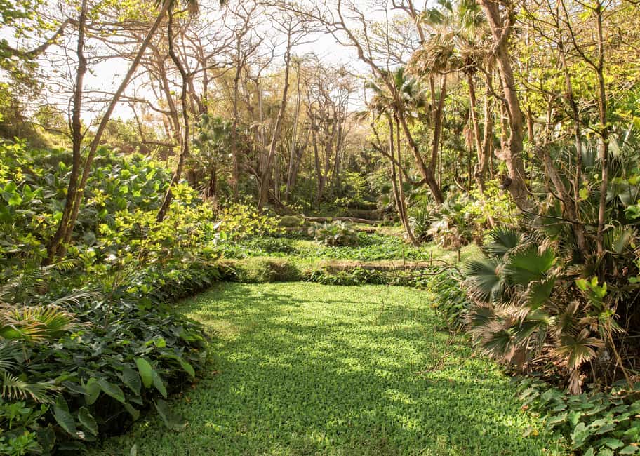 bild nr.10 av Mauritius: Den vilda södern: Vandringstur med guide aktivitet i Mauritius, uppladdad av arrangören
