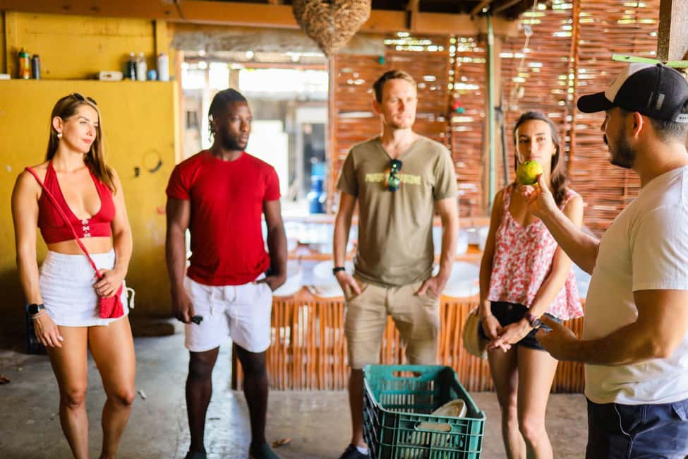 Image N°7 de Playa del Carmen : Visite à pied de 3 heures sur la gastronomie locale activité à Playa del Carmen, publiée par le prestataire