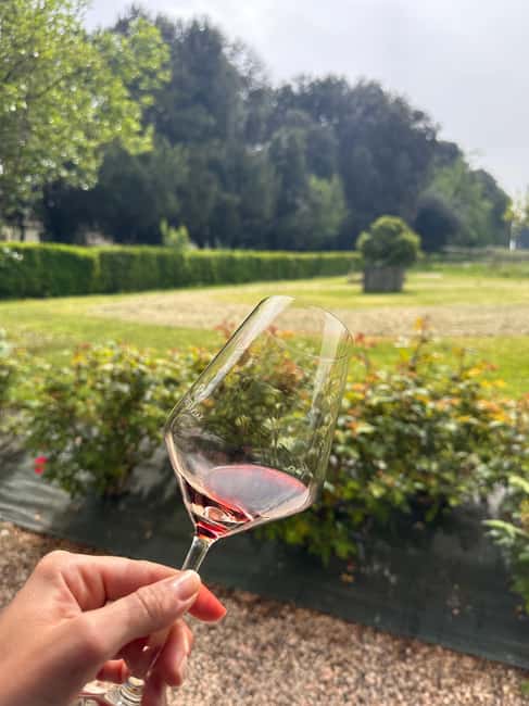 Immagine nº 32 di Il tour completo dell'Amarone: 2 cantine, pranzo e approfondimento sull'Amarone attività a Verona, caricata dal fornitore