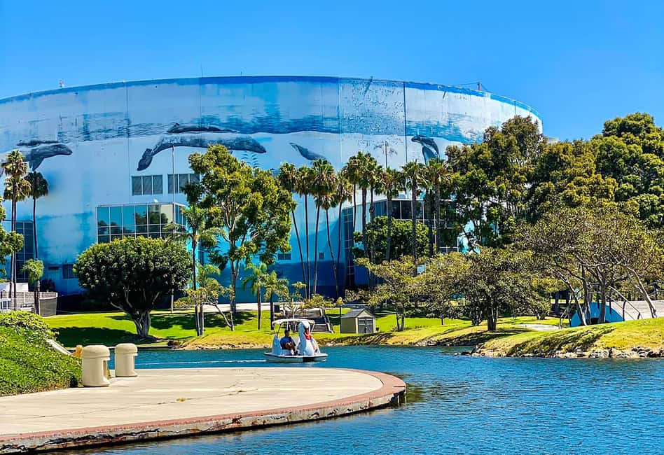imagem n.5 de Long Beach: Aluguel de barcos Swan na Rainbow Lagoon atividade em Los Angeles, carregada pelo fornecedor