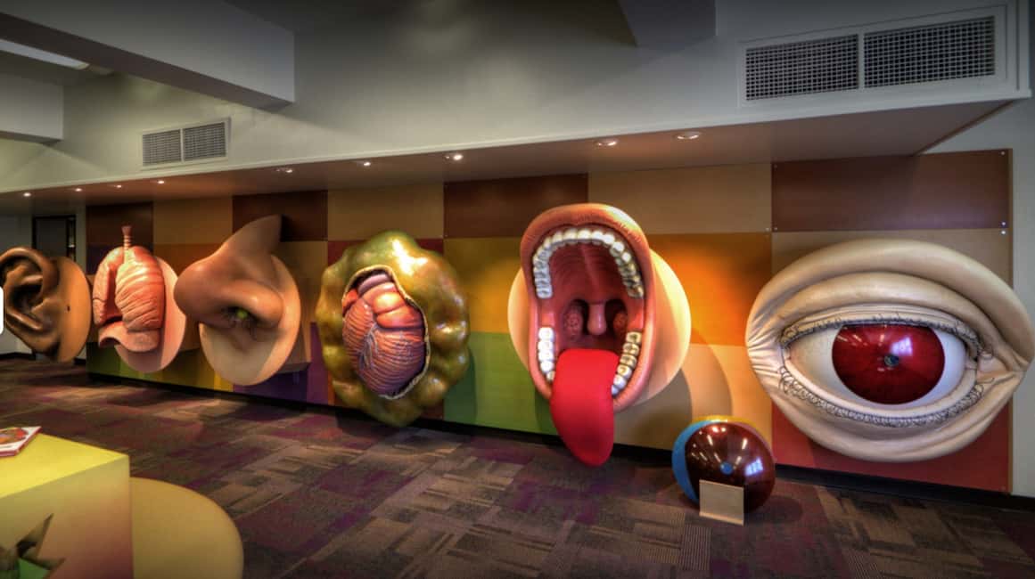 image n.4 of Tucson: Southern Arizona Attractions Discount Pass activity in Tucson, uploaded by supplier
