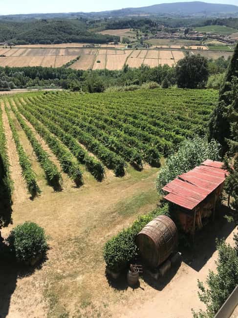 Bild Nr. 11 von Bio-Wein- und Lebensmittelverkostung in der historischen Fattoria Majnoni Aktivität in San Gimignano, hochgeladen vom Anbieter