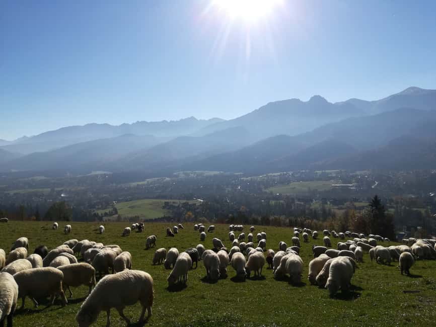 image n.11 of From Krakow: Day Tour of Zakopane and Tatra Mountains activity in Zakopane, uploaded by supplier
