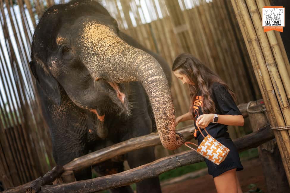 billede nr.6 af aktiviteten Phuket: Oplevelse af etisk fodring i Elephant Jungle Sanctuary i Kathu, Phuket, uploadet af udbyder