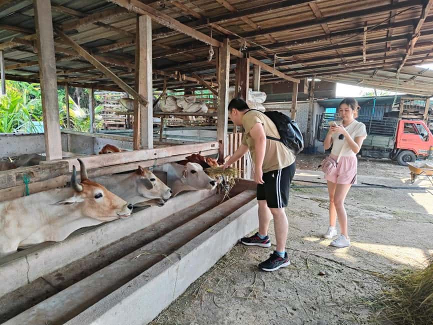 image n.8 of George Town: Balik Pulau Countryside Morning Cycling Tour activity in George Town, Malaysia, uploaded by supplier