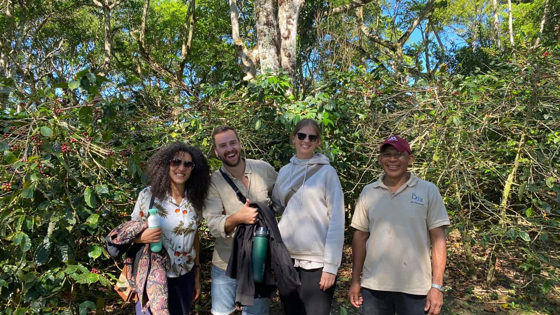 Bild Nr. 10 von Boquete, Panama: Specialty Coffee Tour Aktivität in Bajo Boquete, hochgeladen vom Anbieter