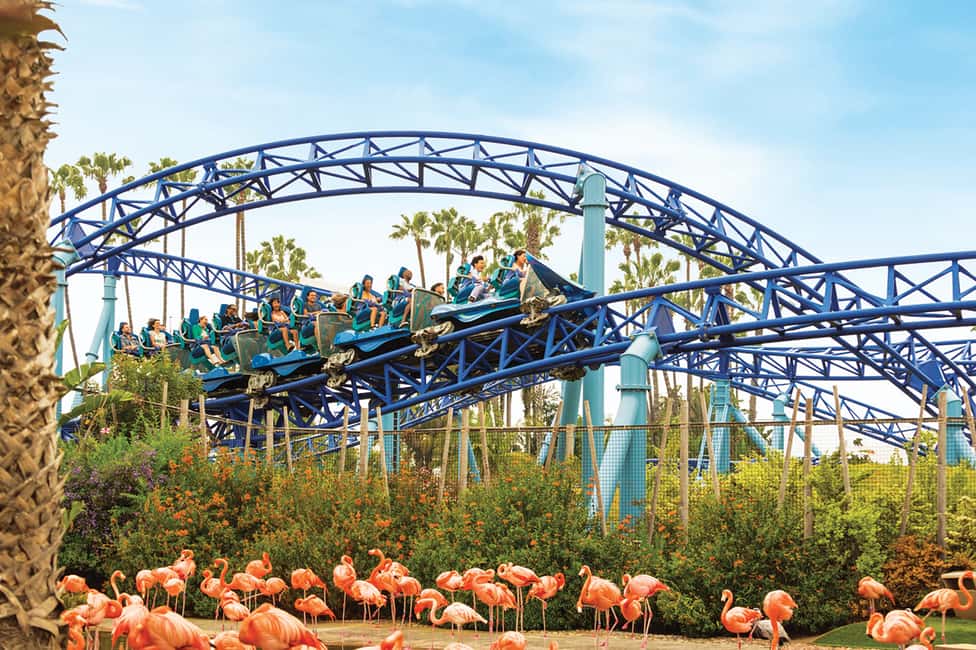 image n.1 of San Diego: SeaWorld Skip-the-Line Park Admission Ticket activity in San Diego, uploaded by supplier