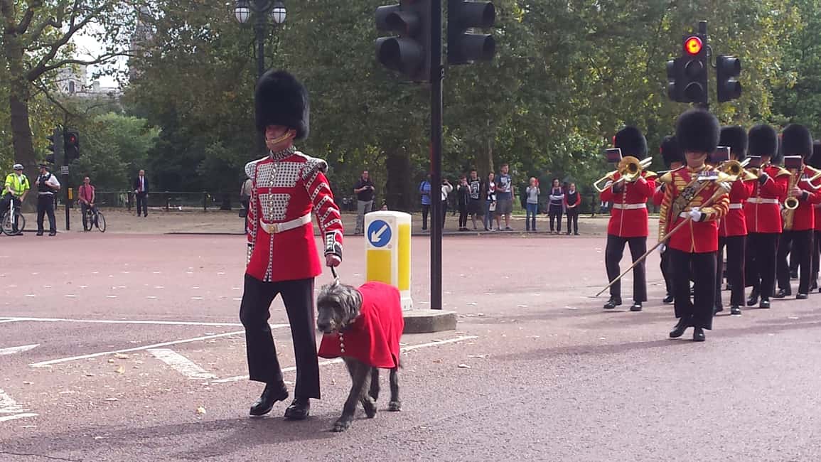 image n.12 of London: Changing of the Guard Walking Tour activity in London, uploaded by supplier