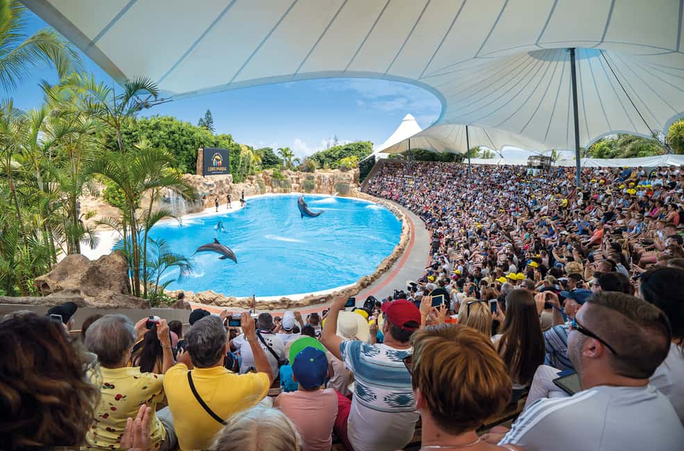 image n.5 of Loro Parque and Siam Park Combined Admission Tickets activity in Puerto de la Cruz, uploaded by supplier