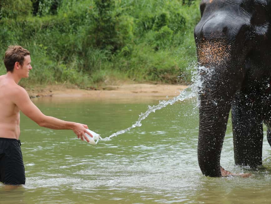 Immagine nº 3 di Khao Lak: Bagno con gli elefanti e visita al centro tartarughe attività a Takua Pa, caricata dal fornitore
