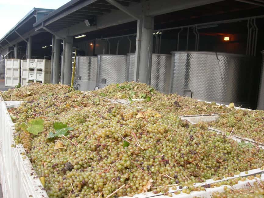 image n.2 of Carmel Valley Wine Tasting Tour activity in Monterey, uploaded by supplier