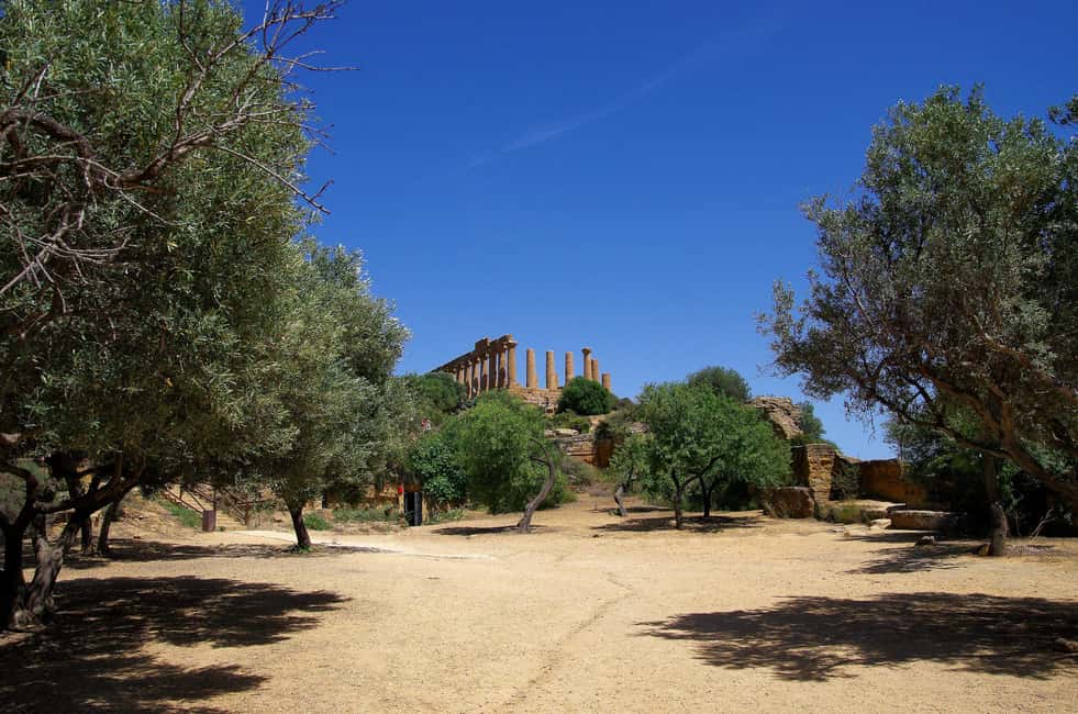 image n.5 of Agrigento: Valley of the Temples Private Archeological Tour activity in Agrigento, uploaded by supplier