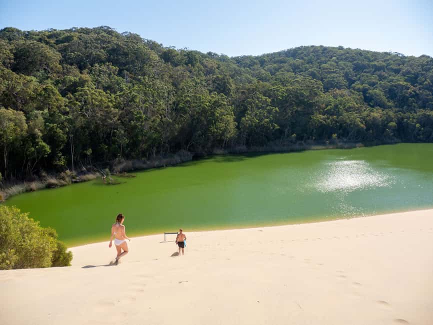 image n.5 of From Hervey Bay: K'gari Getaway Three-day 4WD Coach Tour activity in Queensland, uploaded by supplier