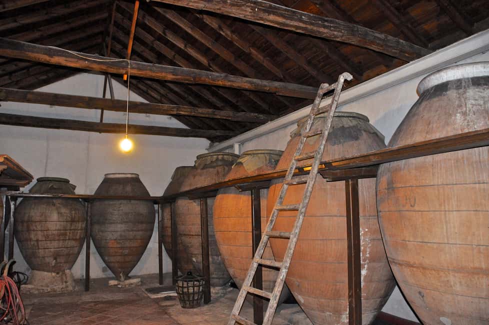 image n.1 of Madrid: Regional Madrid Wineries Guided Tour and Tastings activity in Madrid, uploaded by supplier