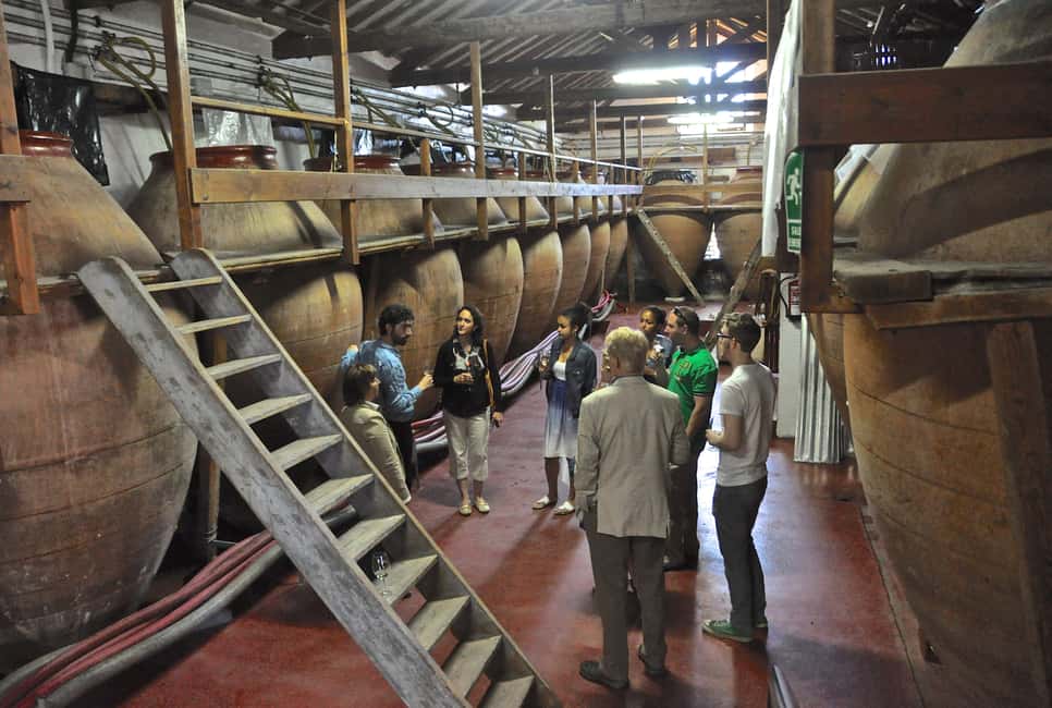 image n.7 of Madrid: Regional Madrid Wineries Guided Tour and Tastings activity in Madrid, uploaded by supplier
