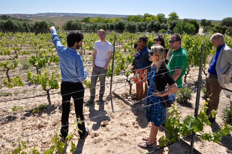 image n.8 of Madrid: Regional Madrid Wineries Guided Tour and Tastings activity in Madrid, uploaded by supplier
