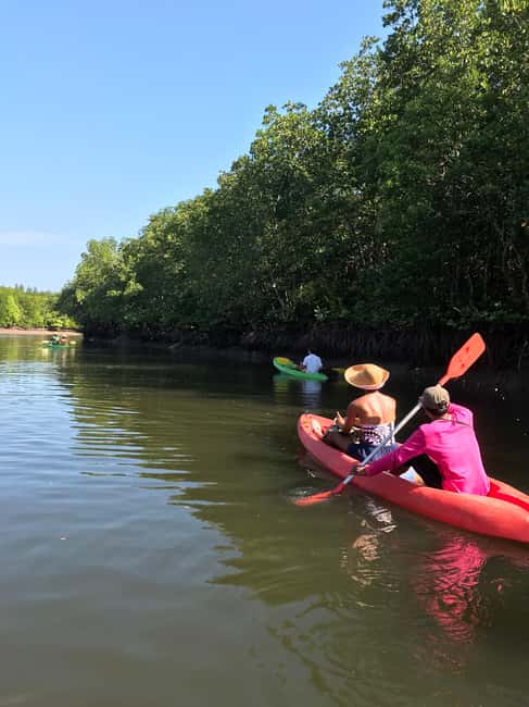 image n.3 of Ko Lanta: Half-Day Mangrove Kayaking Tour with Lunch activity in Tung Yee Peng, uploaded by supplier