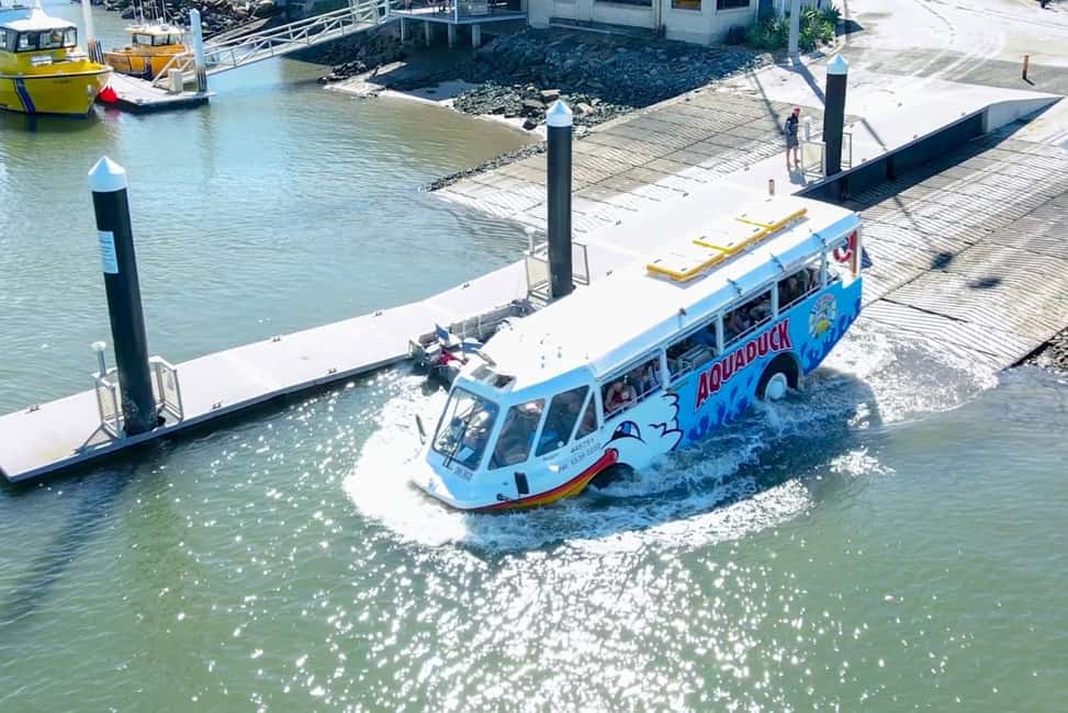 image n.7 of Sunshine Coast: 1-Hour Land and Water Tour activity in Queensland, uploaded by supplier