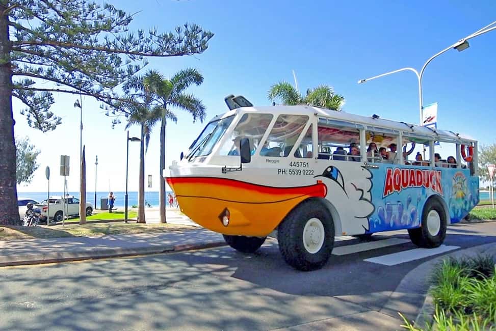 image n.8 of Sunshine Coast: 1-Hour Land and Water Tour activity in Queensland, uploaded by supplier