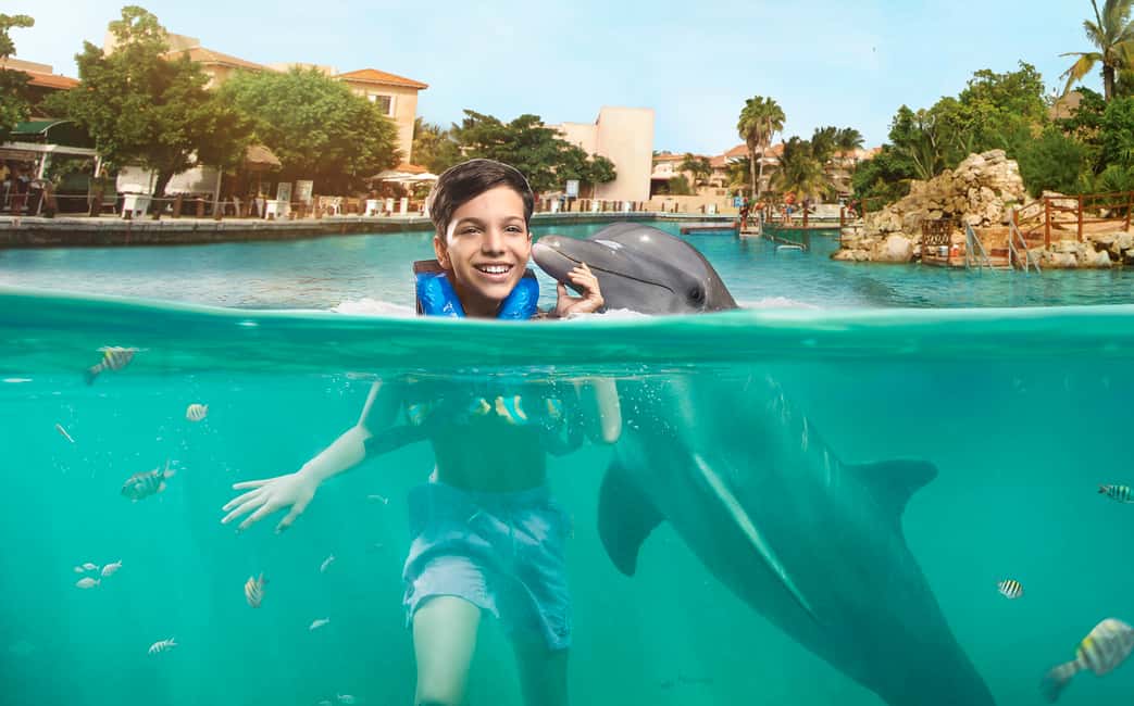 afbeelding n.6 van Puerto Aventuras: zwemmen met dolfijnen, zeeleeuwen, zeekoeien en lunch activiteit in Puerto Aventuras, geüpload door aanbieder
