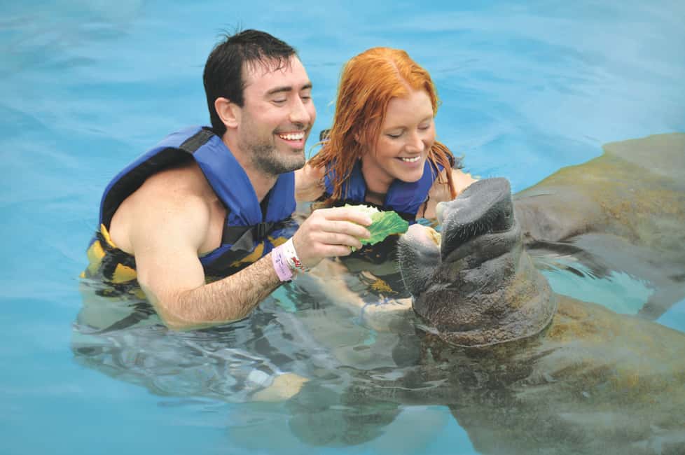 afbeelding n.2 van Puerto Aventuras: zwemmen met dolfijnen, zeeleeuwen, zeekoeien en lunch activiteit in Puerto Aventuras, geüpload door aanbieder