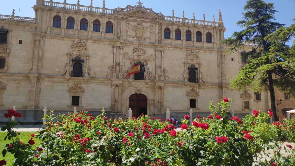 imagen n.º 8 de Desde Madrid: excursión de un día al museo de Alcalá de Henares y Cervantes actividad en Alcalá de Henares, subida por el proveedor