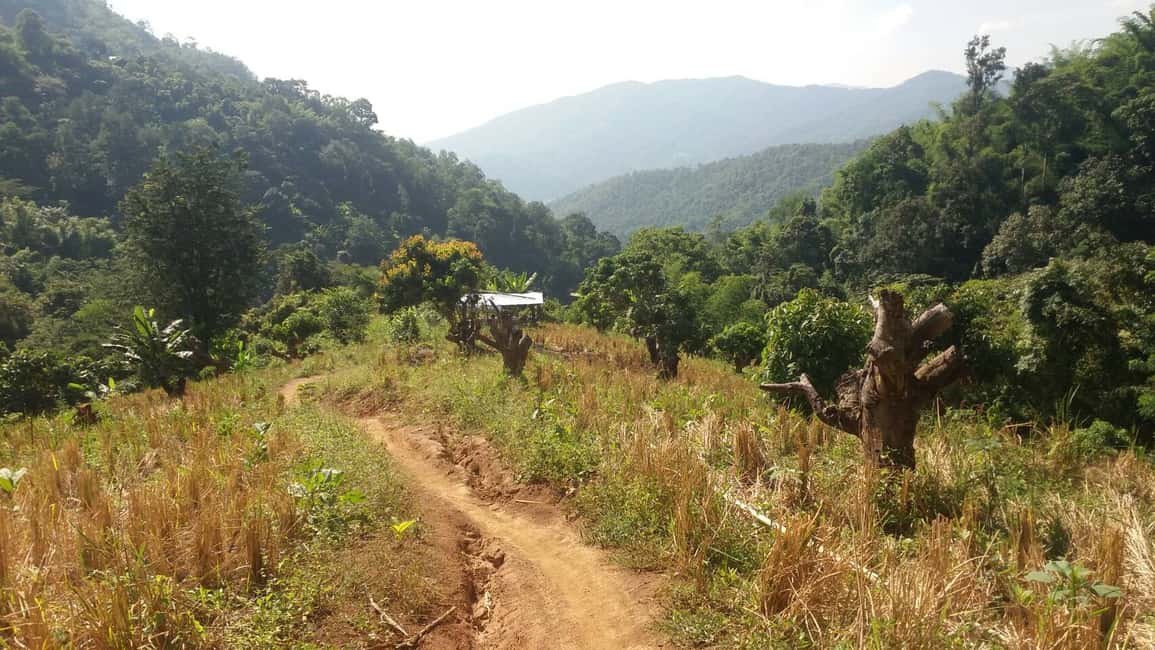 image n.11 of From Chiang Mai: High Mountain Day Trek activity in Chiang Mai Province, uploaded by supplier