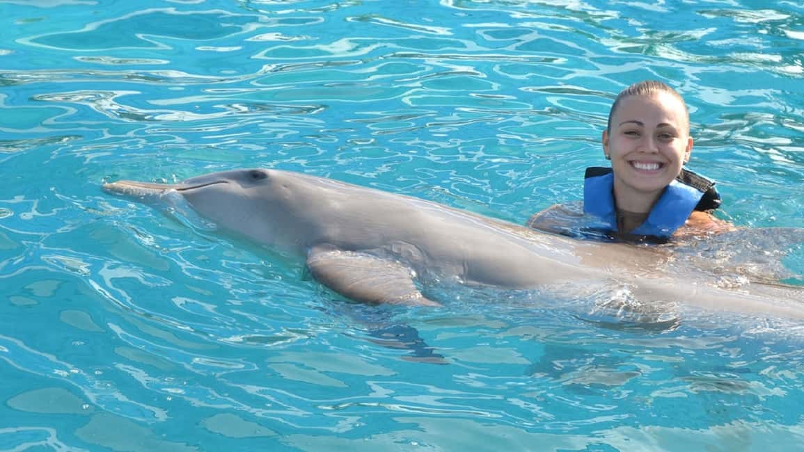 image n.2 of Cancún: Dolphin Encounter on Isla Mujeres with Buffet activity in Cancún, uploaded by supplier