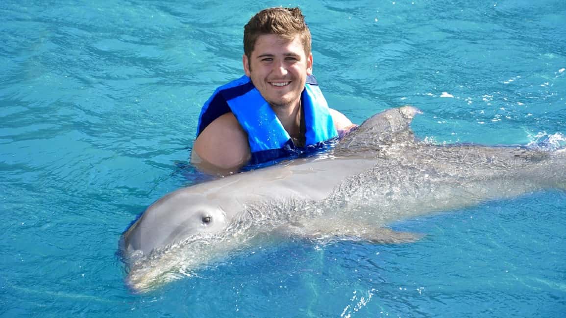 image n.3 of Cancún: Dolphin Encounter on Isla Mujeres with Buffet activity in Cancún, uploaded by supplier