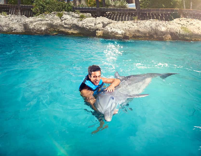 image n.4 of Cancún: Dolphin Encounter on Isla Mujeres with Buffet activity in Cancún, uploaded by supplier