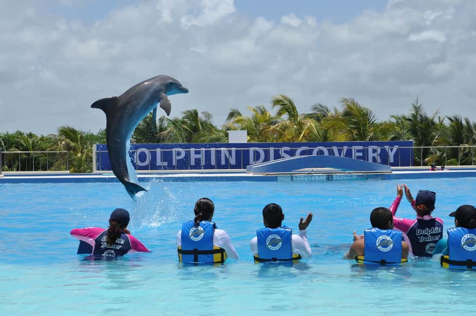 image n.2 of Riviera Maya: Dolphin Encounter with Beach Club Access activity in Quintana Roo, uploaded by supplier