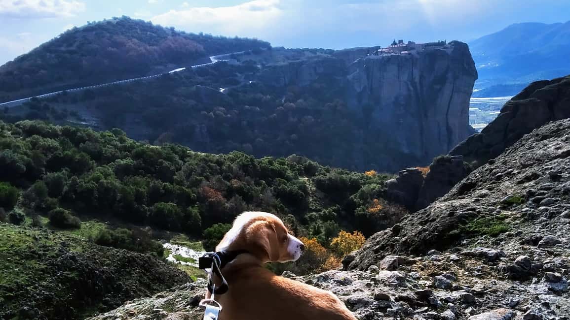 image n.9 of From Thessaloniki: Meteora Small Group Day Trip activity in Kalabaka, uploaded by supplier