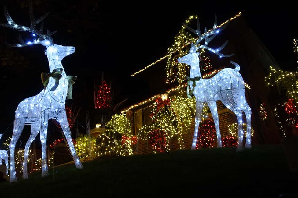 image n.16 of From Manhattan: 4-Hour Christmas Lights Luxury Bus Tour activity in New York City, uploaded by supplier